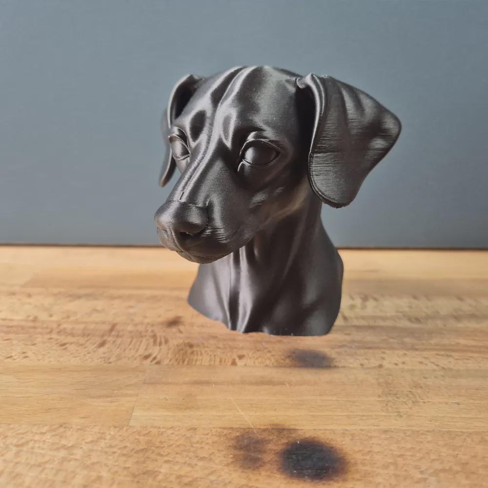 Miniature Pinscher mit Schlappohren Büste / Realistic Miniature Pinscher with Floppy Ears Bust – Handbemalt & Detailliert Fehn-factory.de