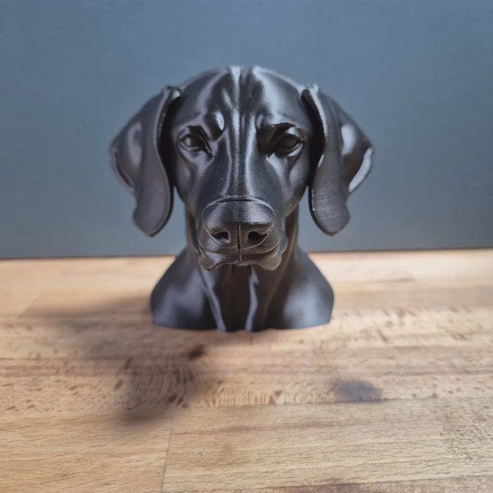 Weimaraner Büste / Realistic Weimaraner Bust – Handbemalt & Detailliert Fehn-factory.de