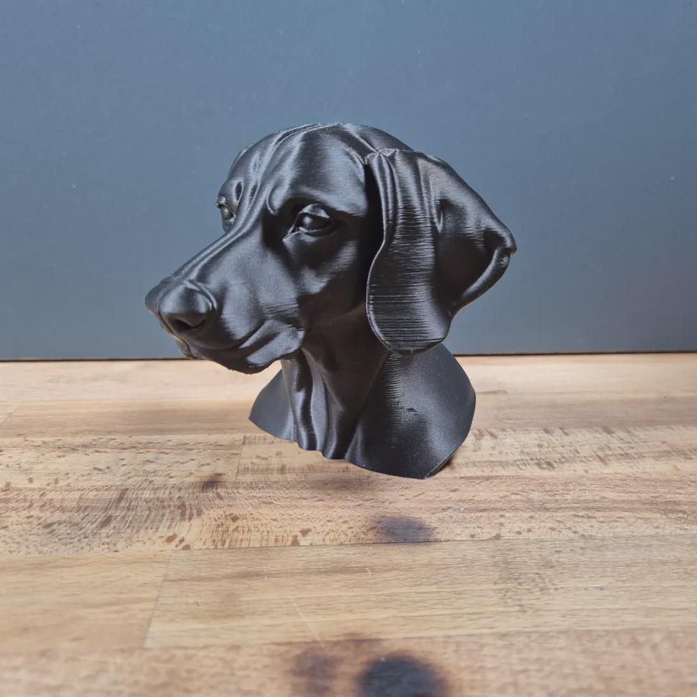 Weimaraner Büste / Realistic Weimaraner Bust – Handbemalt & Detailliert Fehn-factory.de