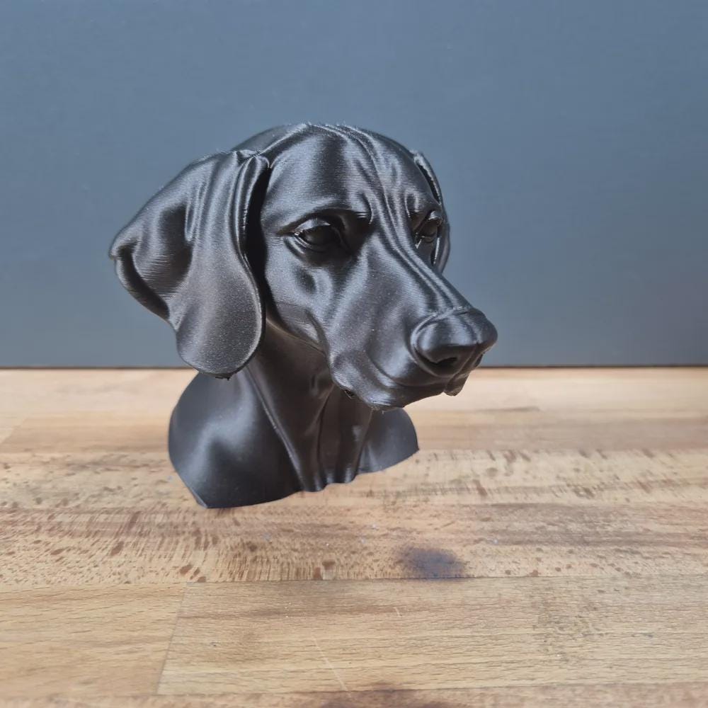 Weimaraner Büste / Realistic Weimaraner Bust – Handbemalt & Detailliert Fehn-factory.de