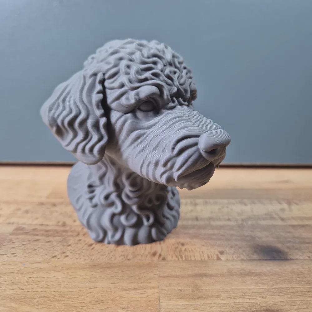 Lagotto Romagnolo Büste / Realistic Lagotto Romagnolo Bust – Handbemalt & Detailliert Fehn-factory.de
