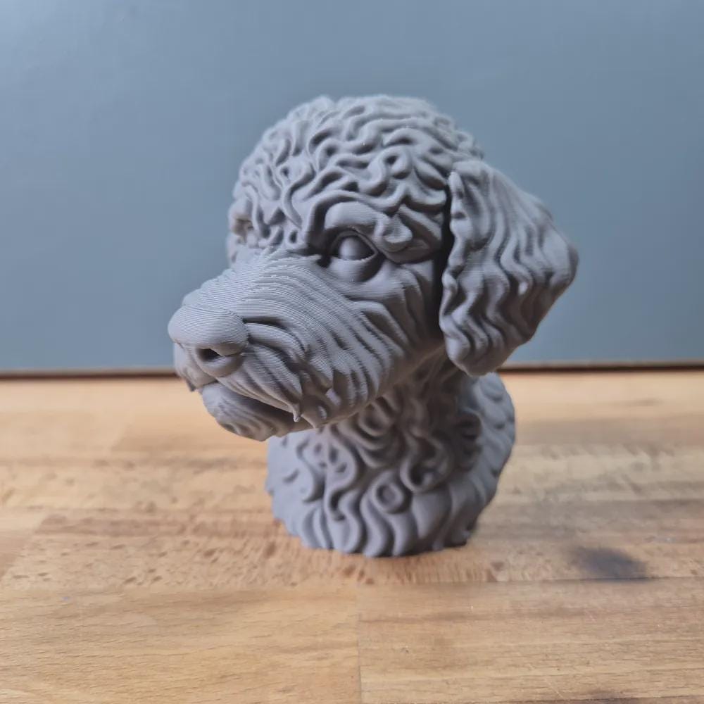 Lagotto Romagnolo Büste / Realistic Lagotto Romagnolo Bust – Handbemalt & Detailliert Fehn-factory.de