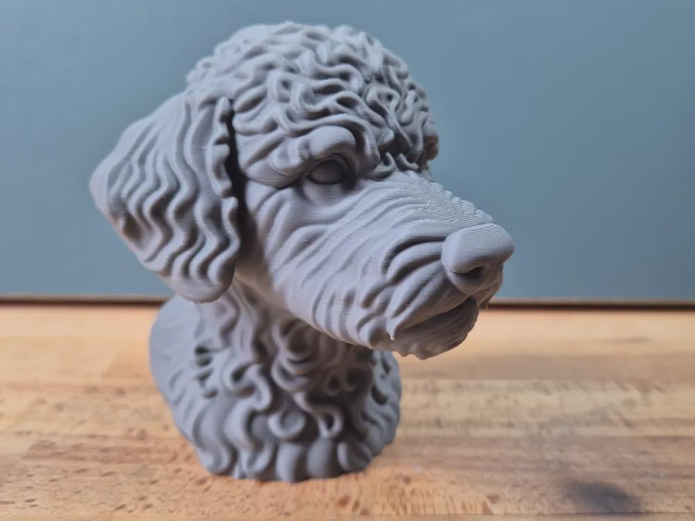 Lagotto Romagnolo Büste / Realistic Lagotto Romagnolo Bust – Handbemalt & Detailliert Fehn-factory.de