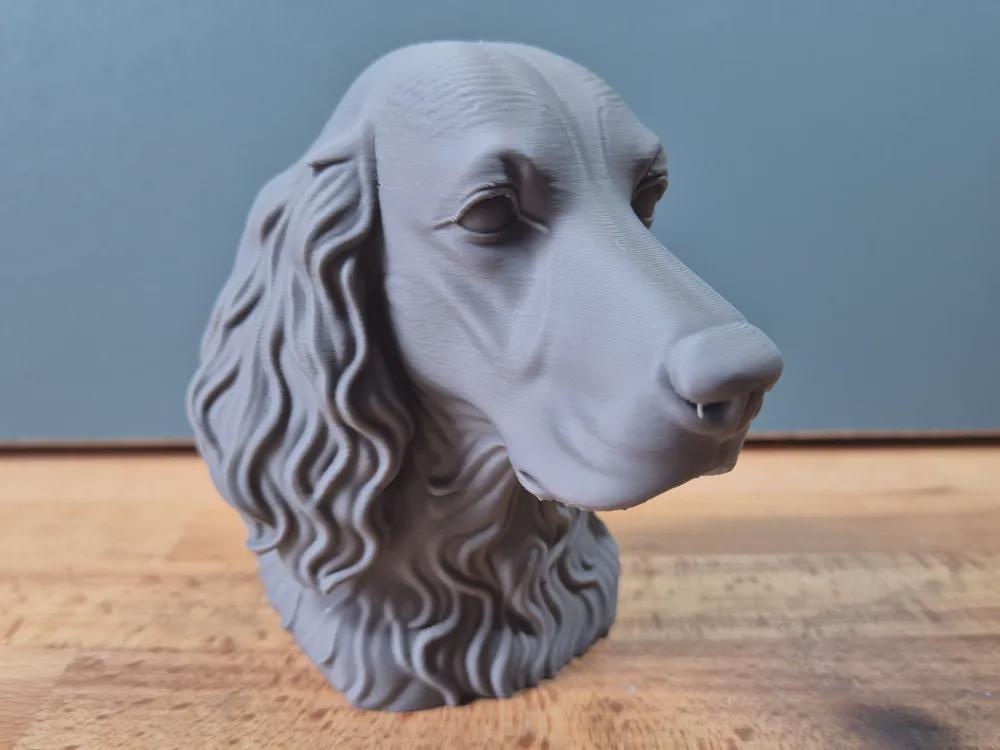 Irish Setter Büste / Realistic Irish Setter Bust – Handbemalt & Detailliert Fehn-factory.de