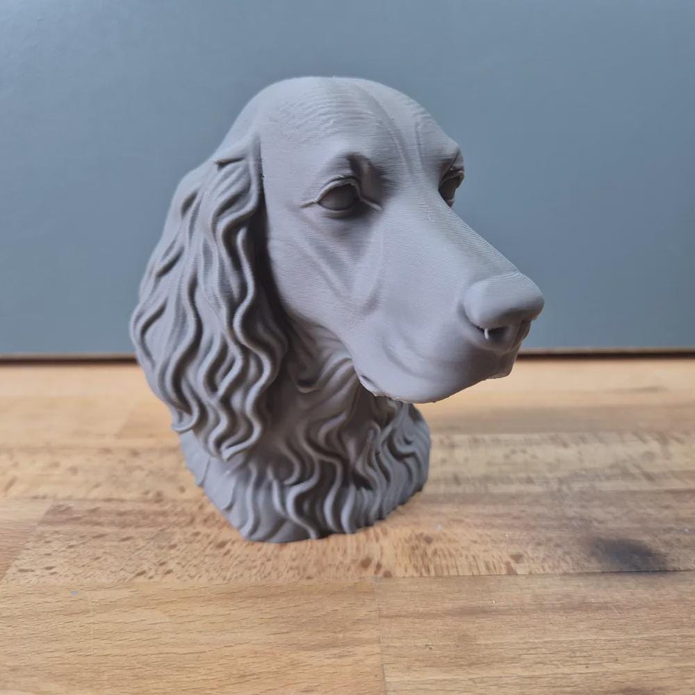 Irish Setter Büste / Realistic Irish Setter Bust – Handbemalt & Detailliert Fehn-factory.de