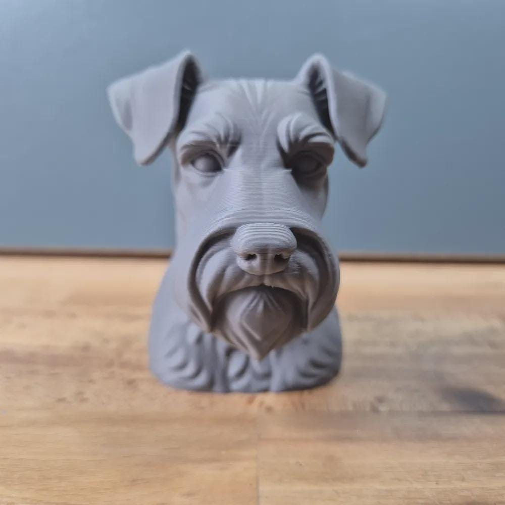 Miniatur-Schnauzer mit natürlichen Ohren Büste / Miniature Schnauzer with Natural Ears Bust – Handbemalt & Hochdetailliert Fehn-factory.de