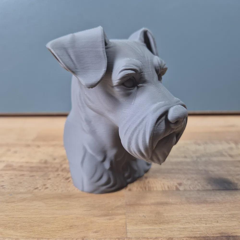 Miniatur-Schnauzer mit natürlichen Ohren Büste / Miniature Schnauzer with Natural Ears Bust – Handbemalt & Hochdetailliert Fehn-factory.de