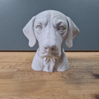 Englischer Vorstehhund Büste / Realistic English Pointer Bust – Handbemalt & Detailliert Fehn-factory.de