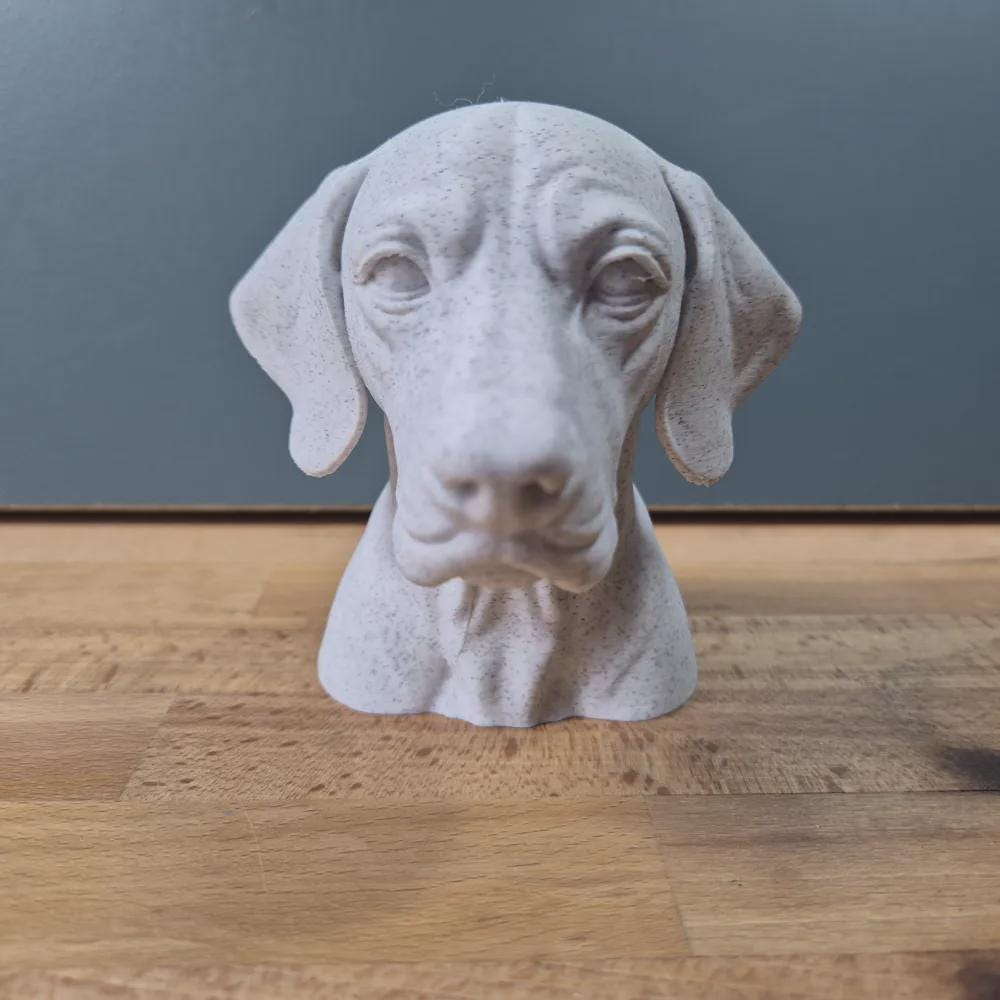 Englischer Vorstehhund Büste / Realistic English Pointer Bust – Handbemalt & Detailliert Fehn-factory.de