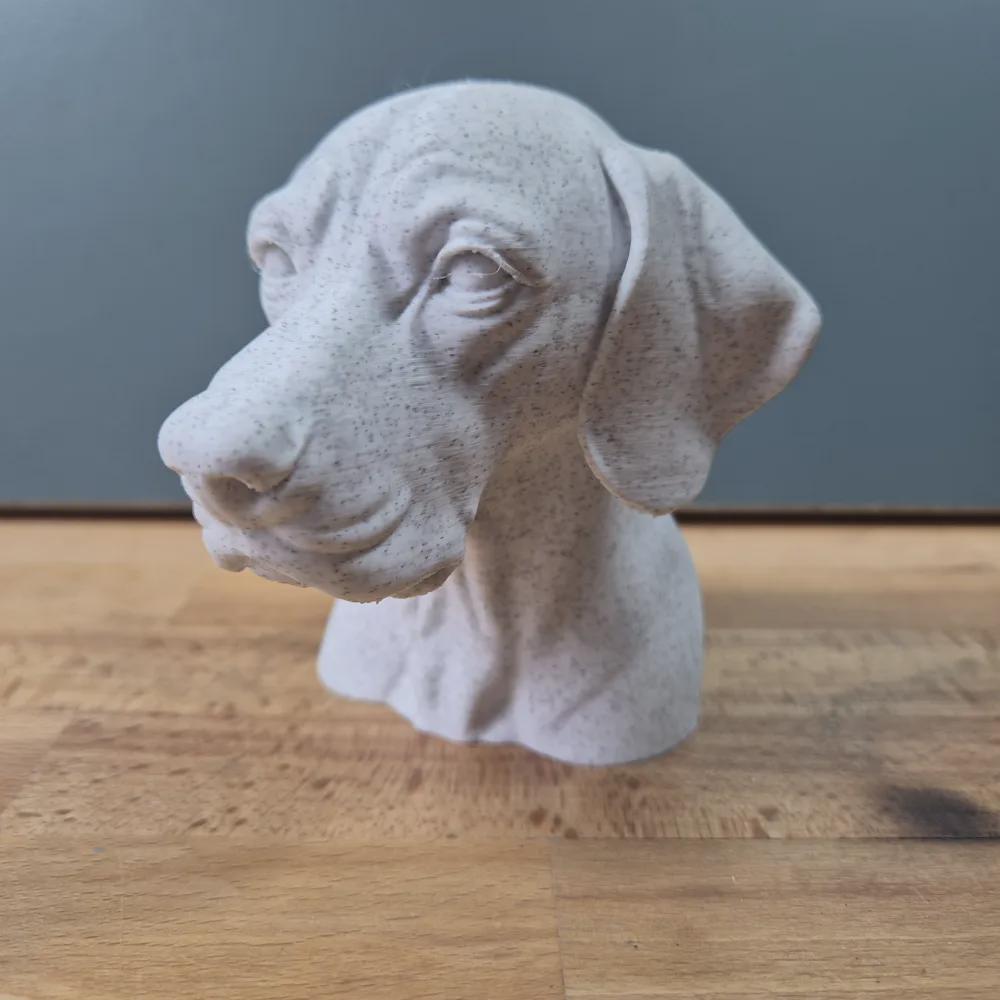 Englischer Vorstehhund Büste / Realistic English Pointer Bust – Handbemalt & Detailliert Fehn-factory.de