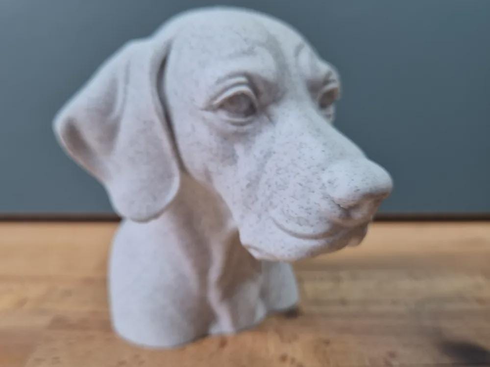 Englischer Vorstehhund Büste / Realistic English Pointer Bust – Handbemalt & Detailliert Fehn-factory.de