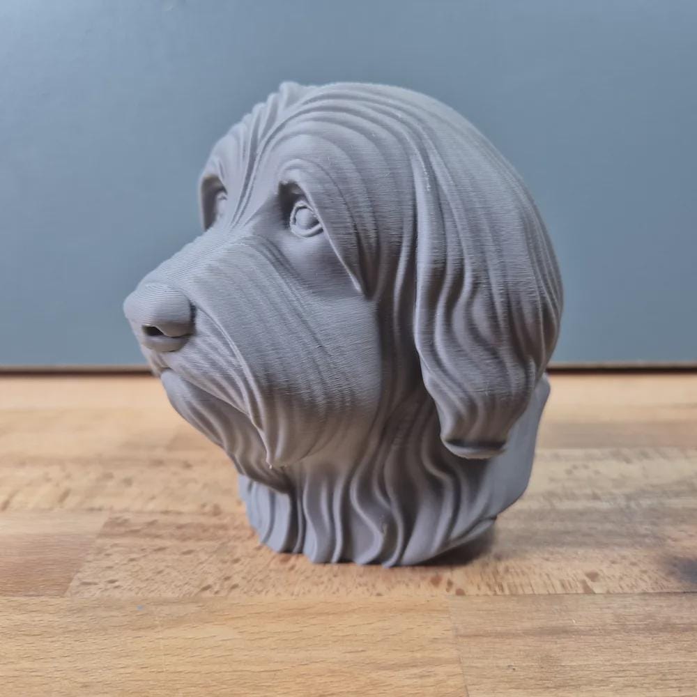 Bearded Collie Büste / Realistic Bearded Collie Bust – Handbemalt & Detailliert Fehn-factory.de