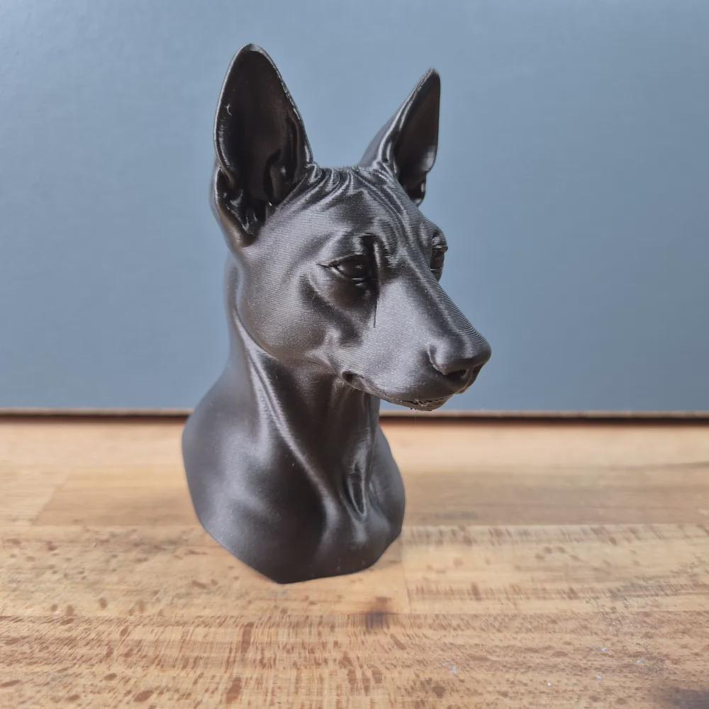 Basenji Büste / Realistic Basenji Bust – Handbemalt & Detailliert Fehn-factory.de