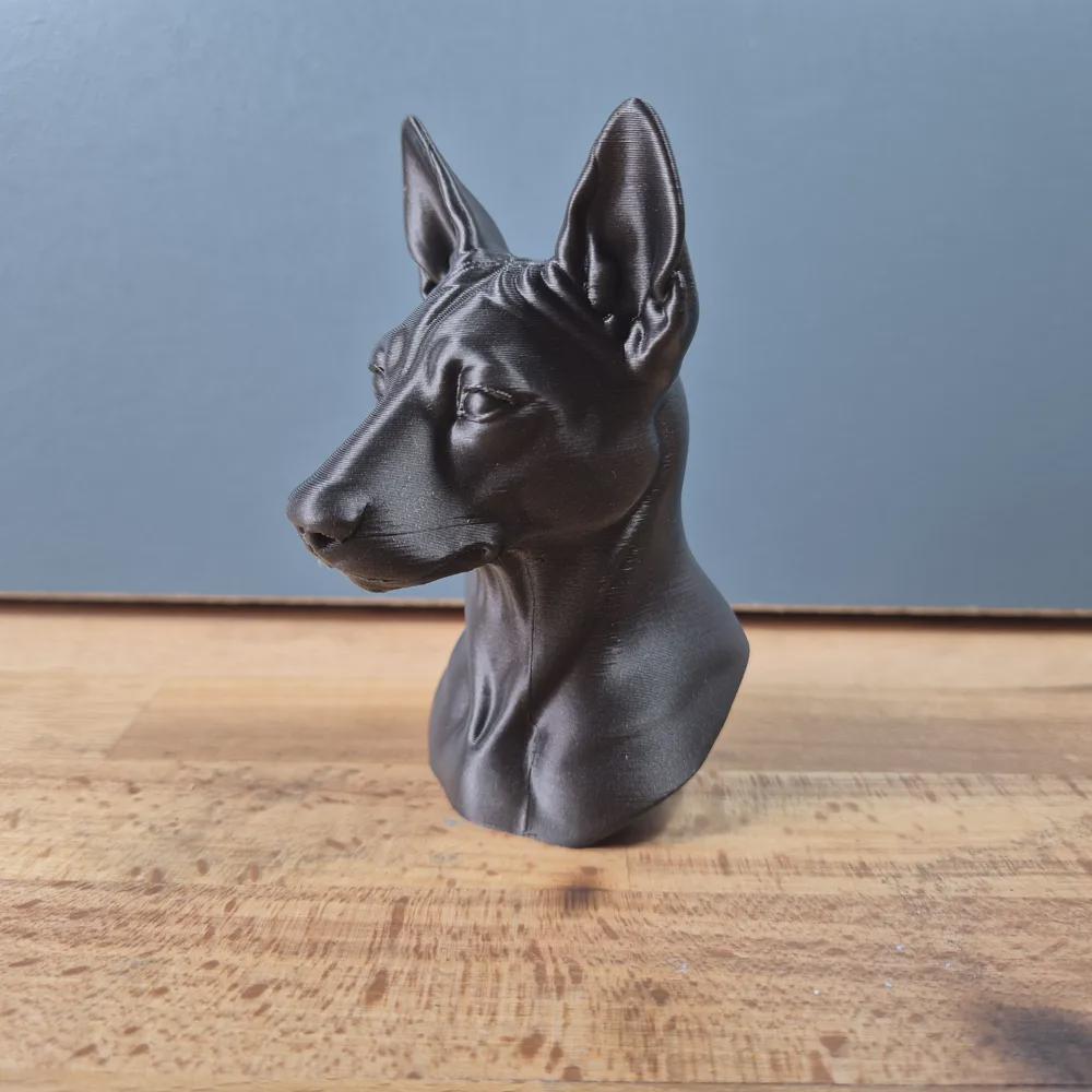 Basenji Büste / Realistic Basenji Bust – Handbemalt & Detailliert Fehn-factory.de