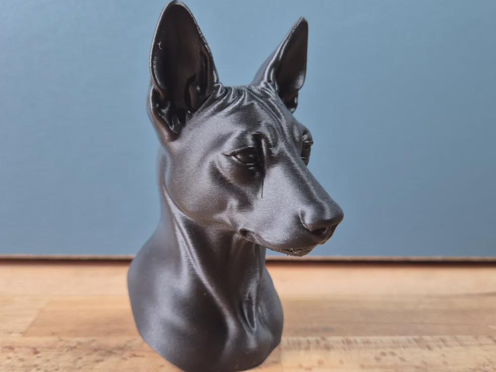 Basenji Büste / Realistic Basenji Bust – Handbemalt & Detailliert Fehn-factory.de