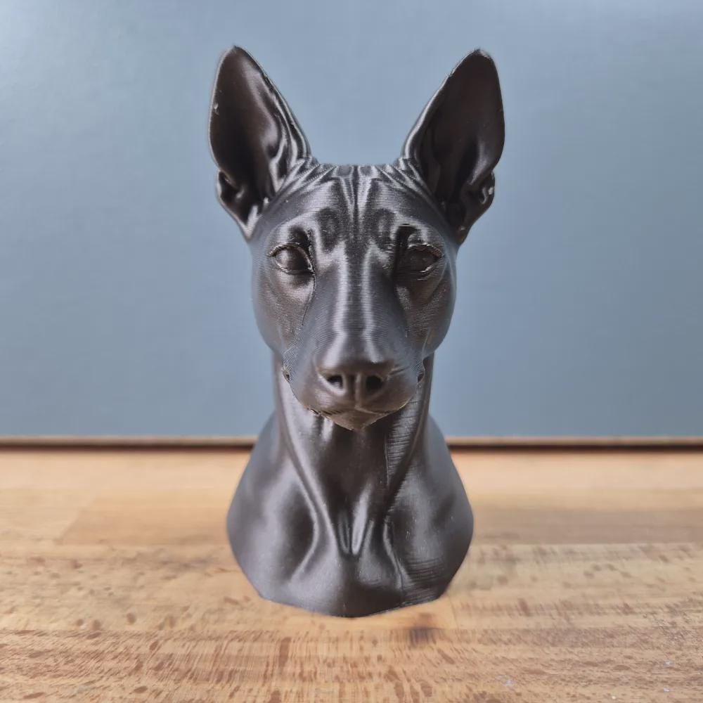 Basenji Büste / Realistic Basenji Bust – Handbemalt & Detailliert Fehn-factory.de