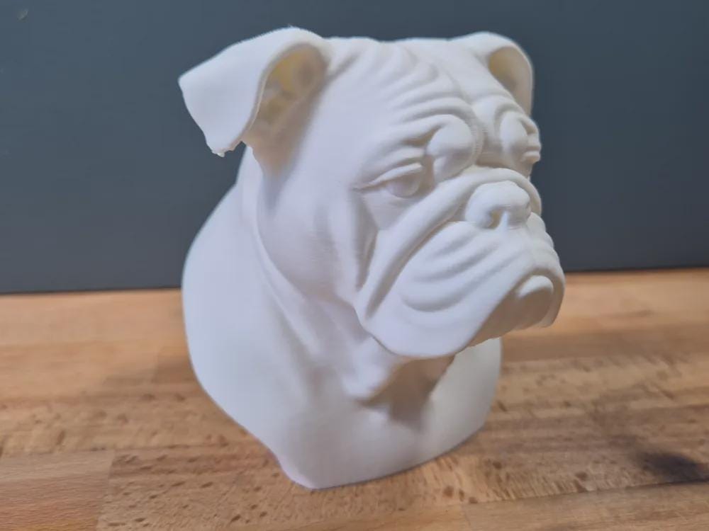 Englische Bulldoggen Büste / Realistic English Bulldog Bust – Handbemalt & Detailliert Fehn-factory.de