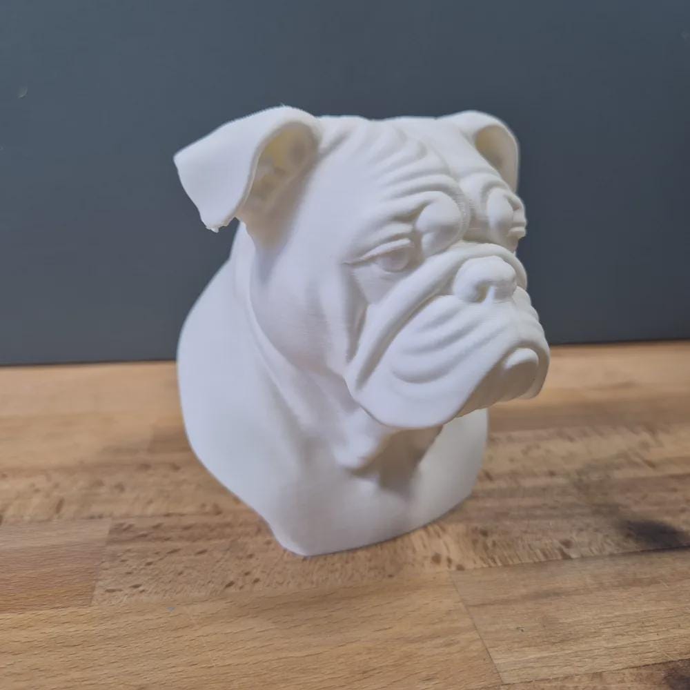 Englische Bulldoggen Büste / Realistic English Bulldog Bust – Handbemalt & Detailliert Fehn-factory.de