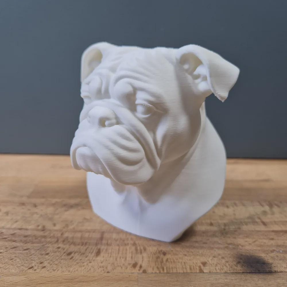 Englische Bulldoggen Büste / Realistic English Bulldog Bust – Handbemalt & Detailliert Fehn-factory.de