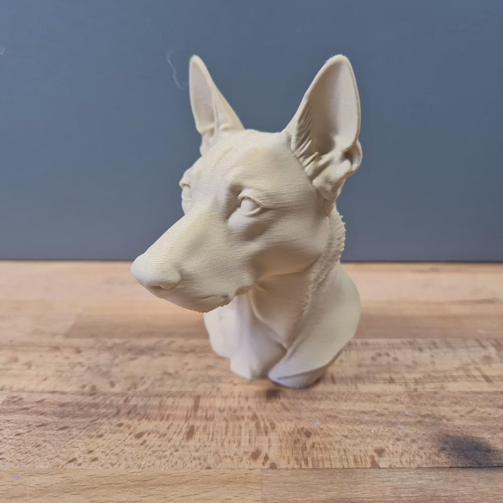 Belgischer Malinois Büste / Realistic Belgian Malinois Bust – Handbemalt & Detailliert Fehn-factory.de