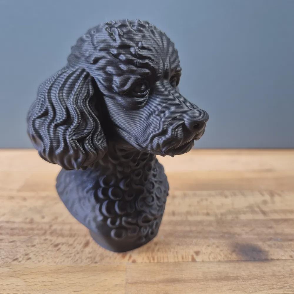 Miniaturpudelbüste / Realistic Miniature Poodle Bust – Handbemalt & Detailliert Fehn-factory.de
