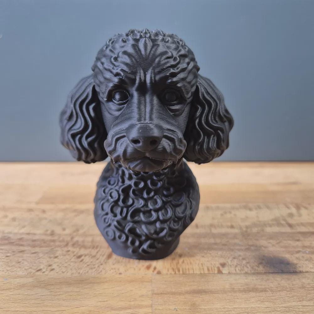 Miniaturpudelbüste / Realistic Miniature Poodle Bust – Handbemalt & Detailliert Fehn-factory.de