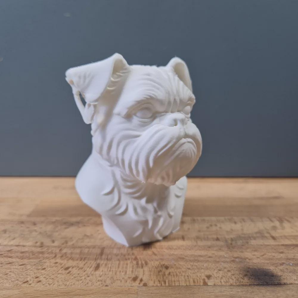 Brüsseler Griffon Büste / Realistic Brussels Griffon Bust – Handbemalt & Detailliert Fehn-factory.de
