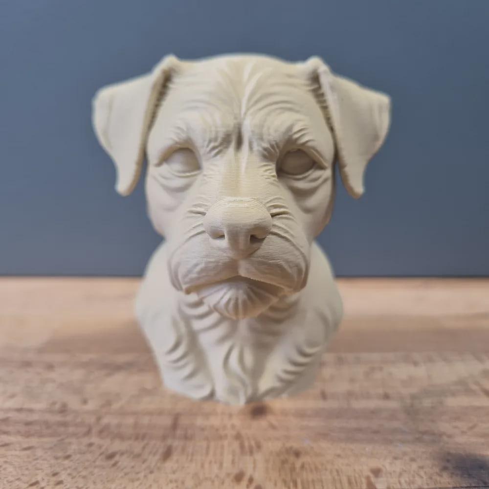 Border Terrier Büste / Realistic Border Terrier Bust – Handbemalt & Detailliert Fehn-factory.de