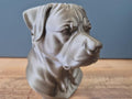 Rottweiler Büste / Realistic Rottweiler Bust – Handbemalt & Detailliert Fehn-factory.de