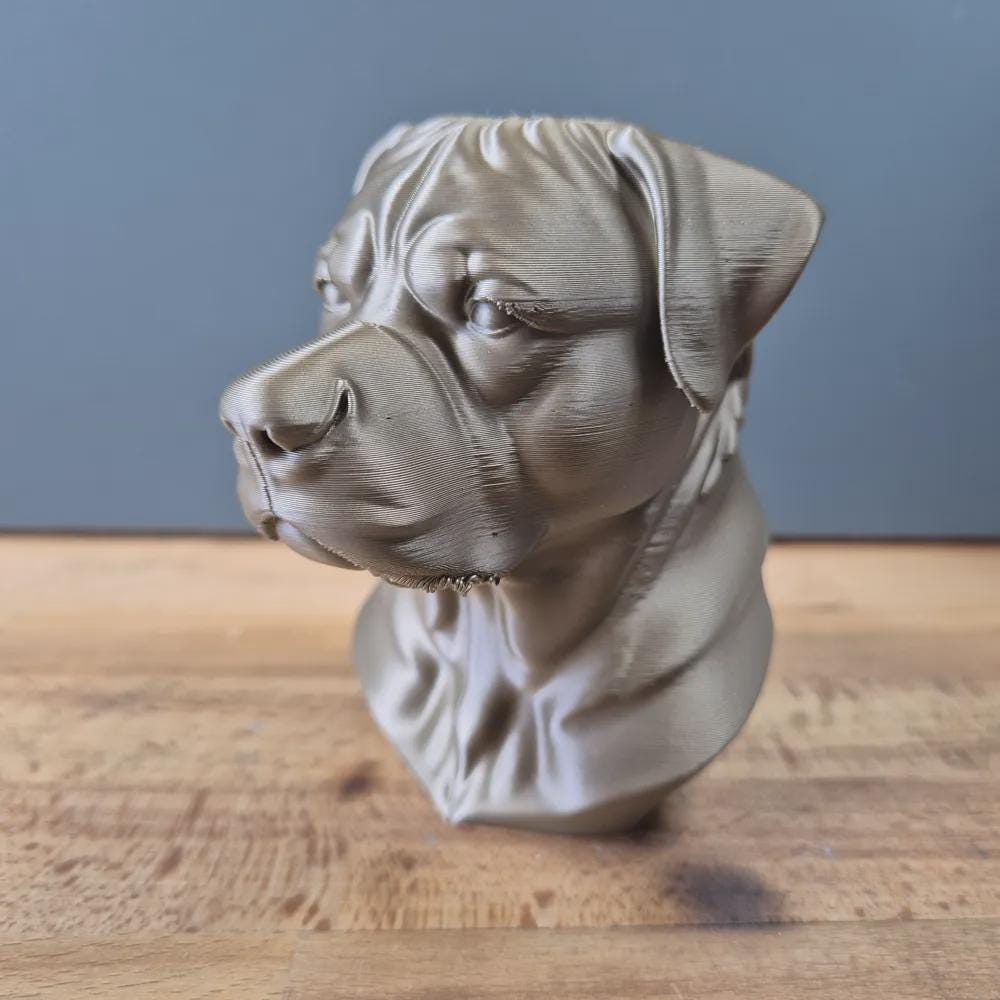 Rottweiler Büste / Realistic Rottweiler Bust – Handbemalt & Detailliert Fehn-factory.de
