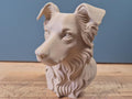 Border Collie Büste / Realistic Border Collie Bust – Handbemalt & Detailliert Fehn-factory.de