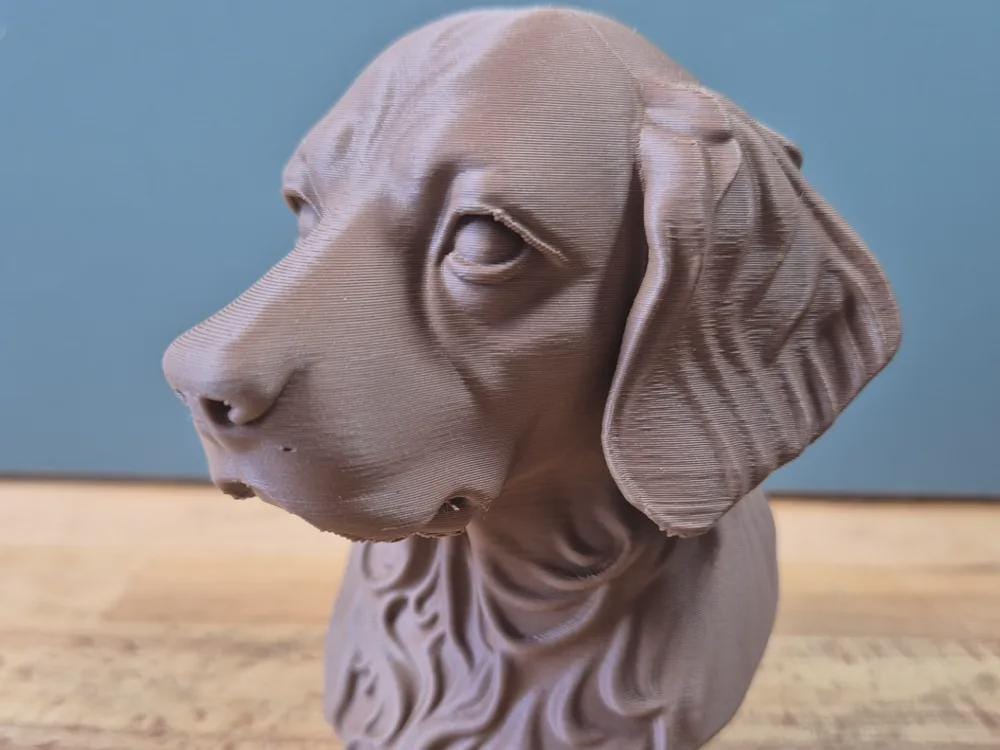 Bretonischer Epagneul Büste / Realistic Brittany Spaniel Bust – Handbemalt & Detailliert Fehn-factory.de