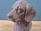 Bretonischer Epagneul Büste / Realistic Brittany Spaniel Bust – Handbemalt & Detailliert Fehn-factory.de