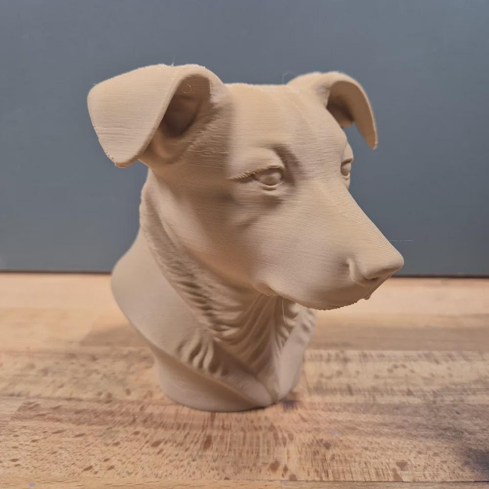 Australian Cattledog mit Hängeohren Büste / Realistic Australian Cattledog (Floppy Ears) Bust – Handbemalt & Detailliert Fehn-factory.de