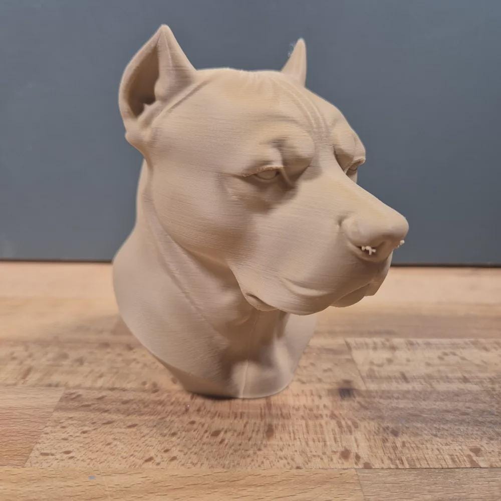 Dogo Argentino Büste / Realistic Dogo Argentino Bust – Handbemalt & Detailliert Fehn-factory.de