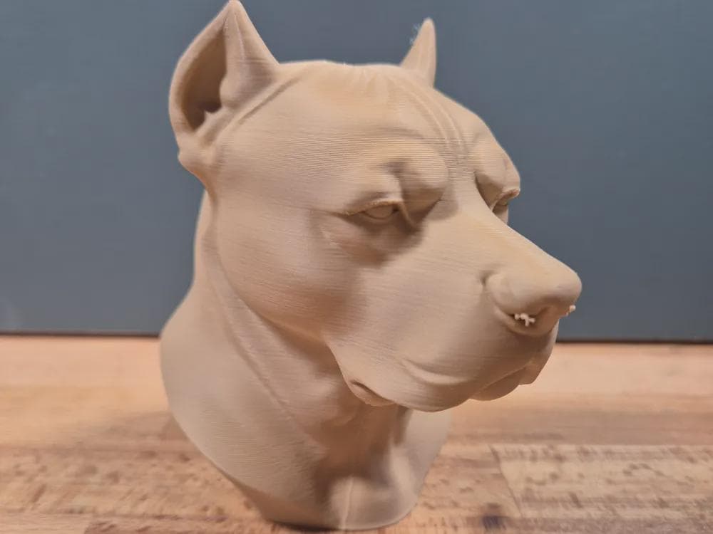 Dogo Argentino Büste / Realistic Dogo Argentino Bust – Handbemalt & Detailliert Fehn-factory.de