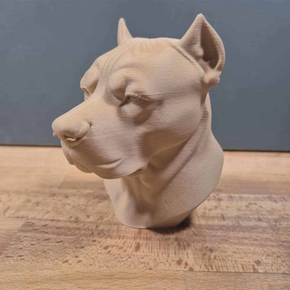 Dogo Argentino Büste / Realistic Dogo Argentino Bust – Handbemalt & Detailliert Fehn-factory.de