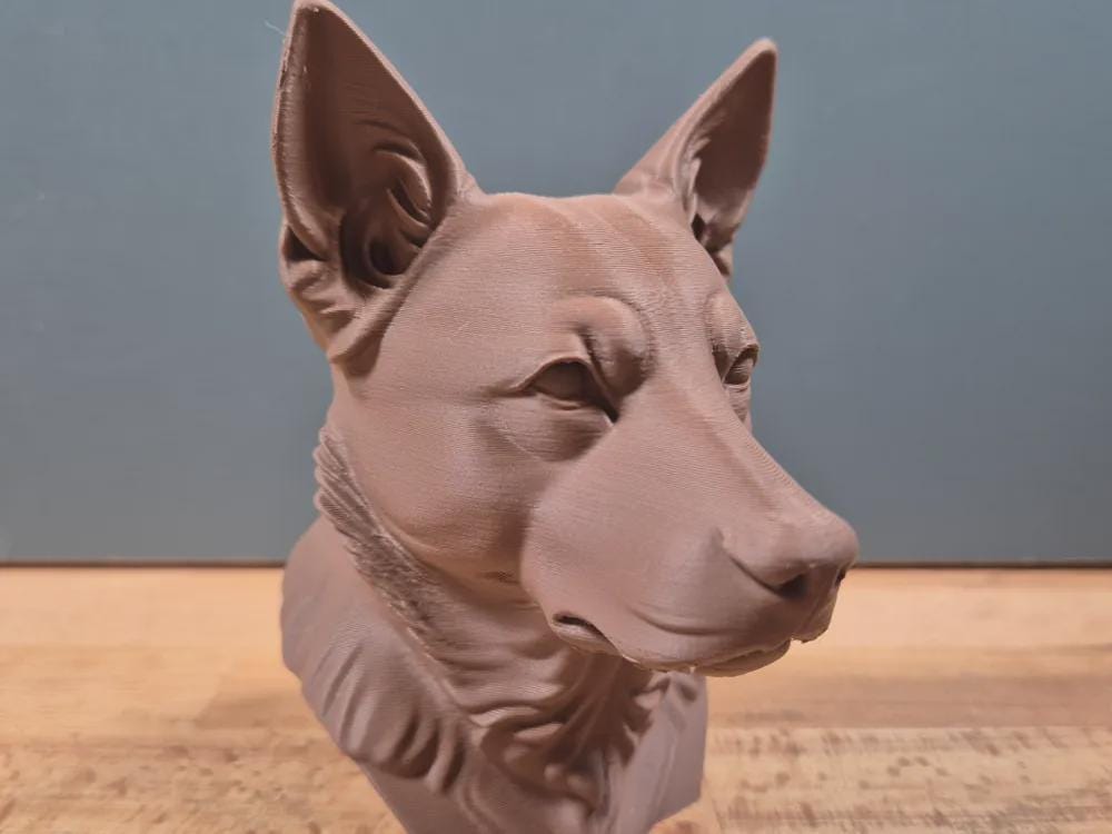 Australian Cattledog Büste / Realistic Australian Cattledog Bust – Handbemalt & Detailliert Fehn-factory.de