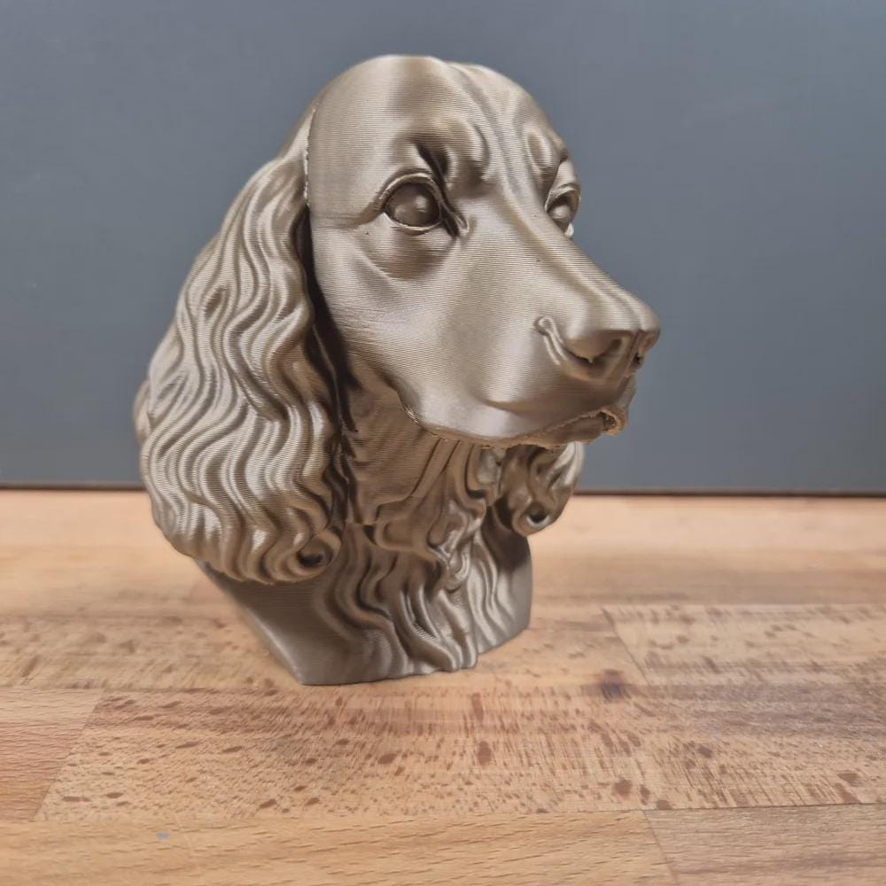 English Springer Spaniel Büste / Realistic English Springer Spaniel Bust – Handbemalt & Detailliert Fehn-factory.de