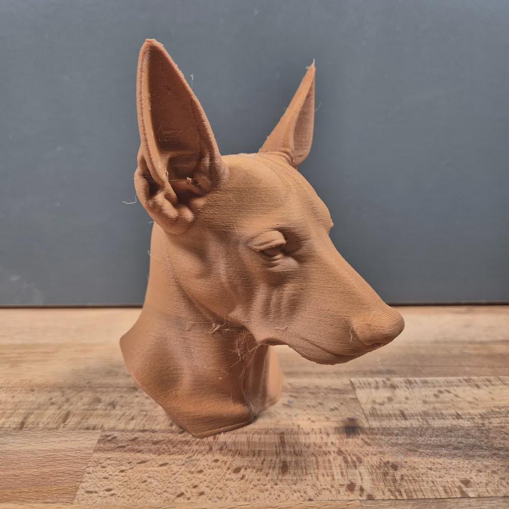 Xoloitzcuintle (Mexikanischer Haarloser Hund) Büste / Realistic Xoloitzcuintle Mexican Hairless Dog Bust – Handbemalt & Detailliert Fehn-factory.de