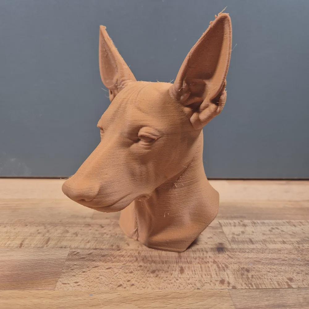 Xoloitzcuintle (Mexikanischer Haarloser Hund) Büste / Realistic Xoloitzcuintle Mexican Hairless Dog Bust – Handbemalt & Detailliert Fehn-factory.de