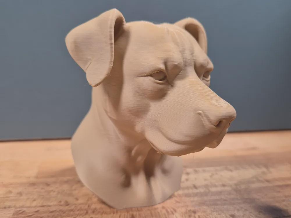 Pitbull mit Hängeohren Büste / Realistic Pitbull with Floppy Ears Bust – Handbemalt & Detailliert Fehn-factory.de