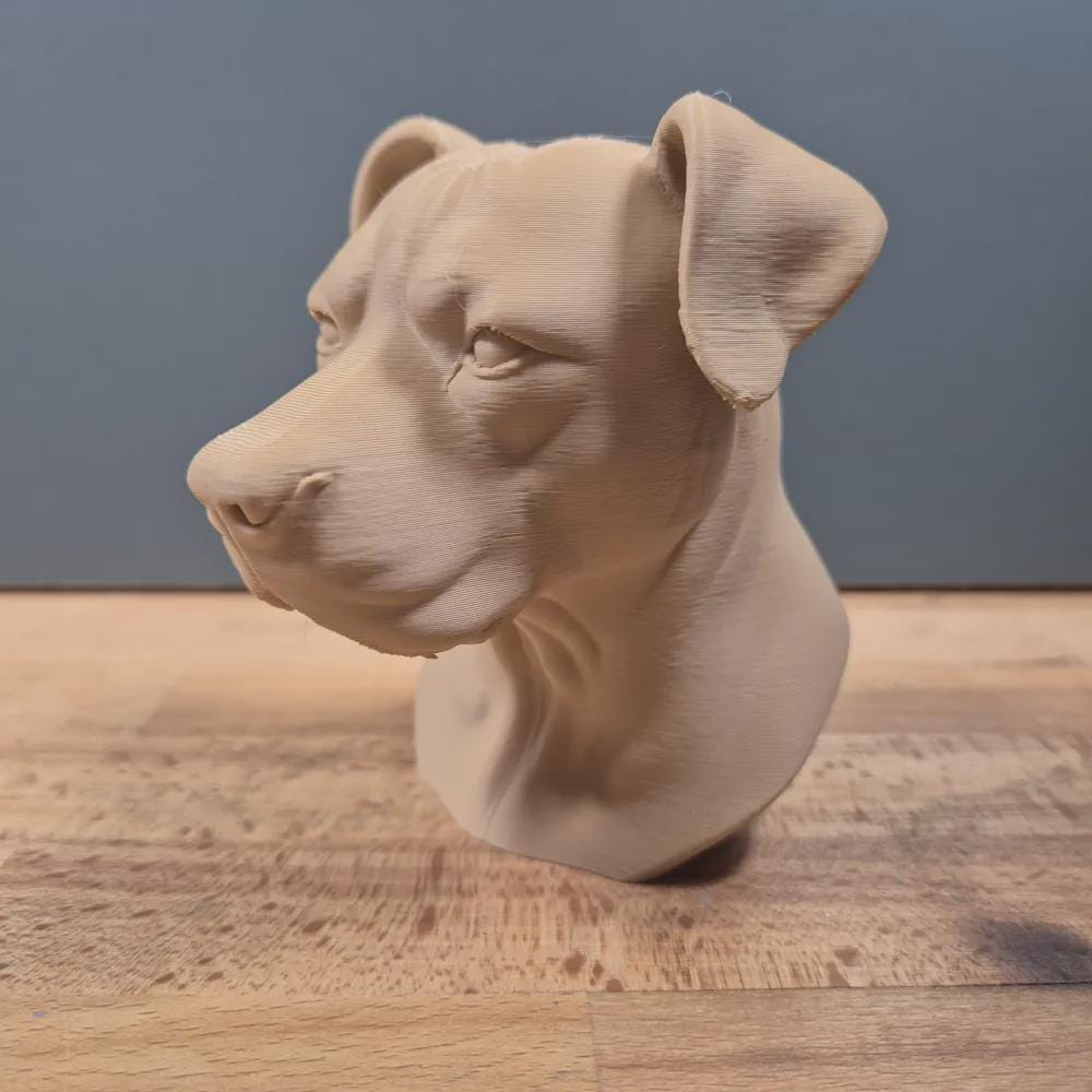 Pitbull mit Hängeohren Büste / Realistic Pitbull with Floppy Ears Bust – Handbemalt & Detailliert Fehn-factory.de