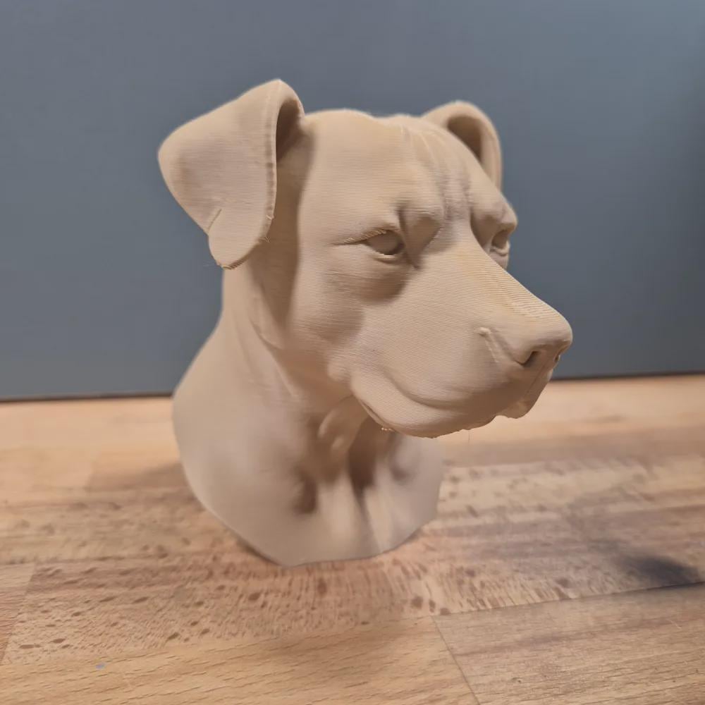 Pitbull mit Hängeohren Büste / Realistic Pitbull with Floppy Ears Bust – Handbemalt & Detailliert Fehn-factory.de
