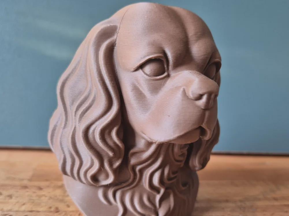 Cavalier King Charles Spaniel Büste / Realistic Cavalier King Charles Spaniel Bust – Handbemalt & Detailliert Fehn-factory.de