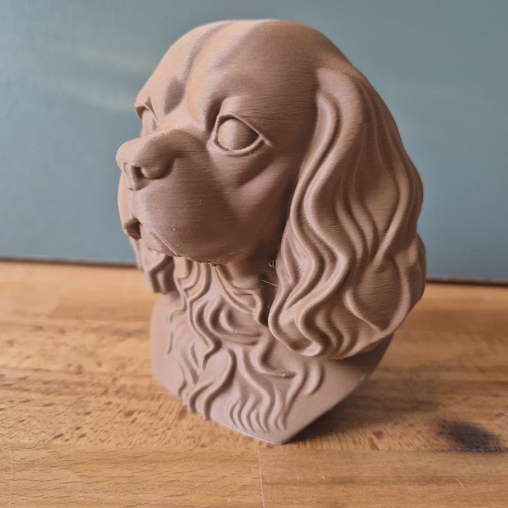 Cavalier King Charles Spaniel Büste / Realistic Cavalier King Charles Spaniel Bust – Handbemalt & Detailliert Fehn-factory.de