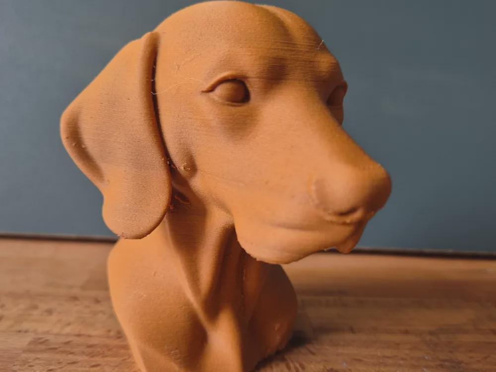 Vizsla Büste / Realistic Vizsla Dog Bust – Handbemalt & Detailliert Fehn-factory.de