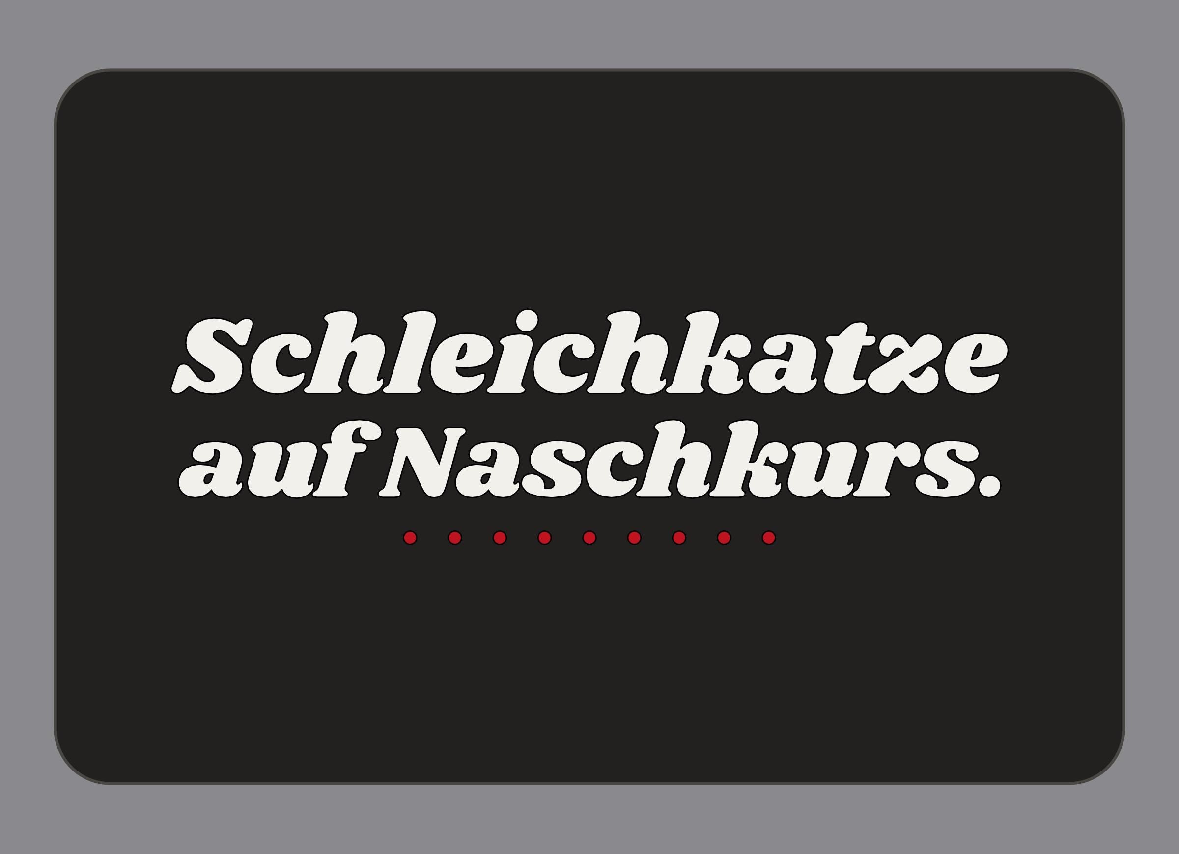 Display-Abdeckung passend für Thermomix TM7 – Schleichkatze auf Naschkurs. | mehrfarbig, Wunschfarbe möglich
