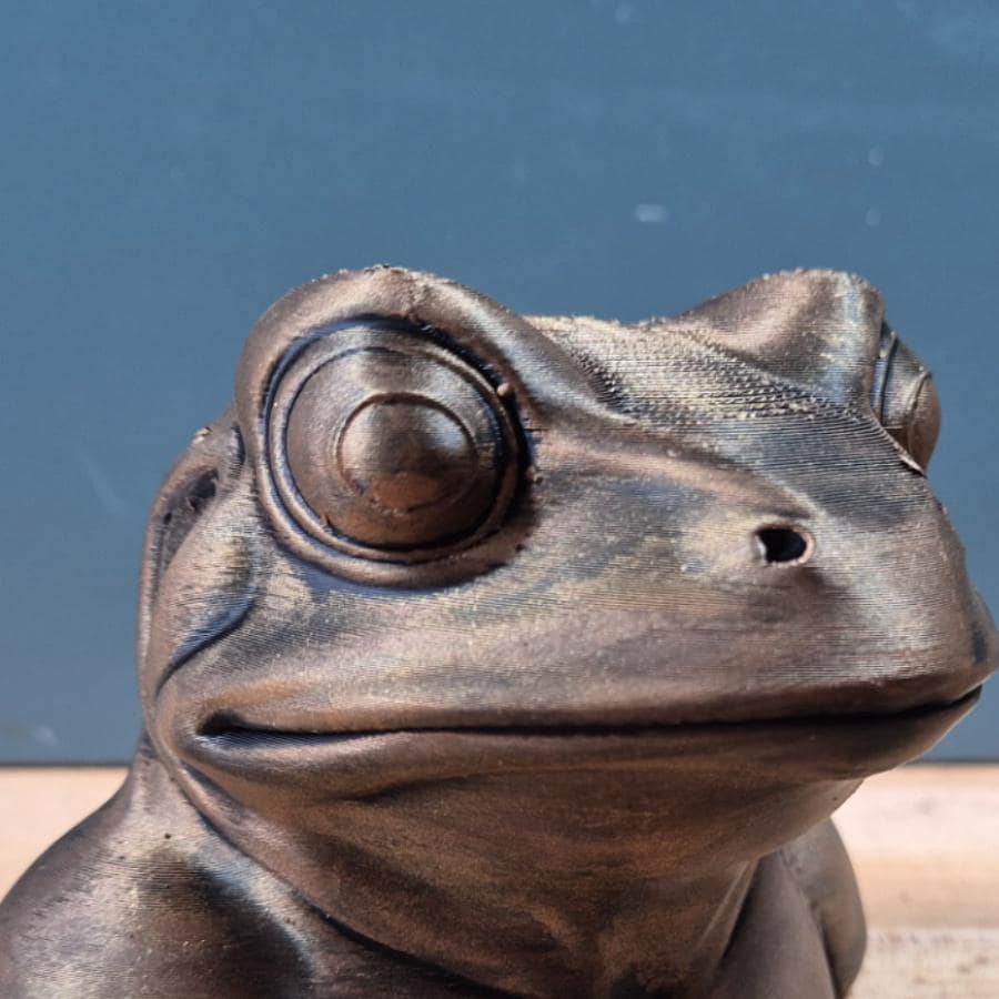 Froschbüste – markantes Tierporträt mit großen Augen | 19 Farben & 3 Größen | Made in Germany