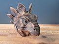 Stegosaurus – detailreiche Dinosaurierbüste mit Rückenplatten | 19 Farben & 3 Größen | Made in Germany
